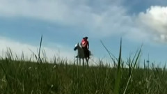 一曲相送 飯制版