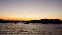 情非得已愛上你