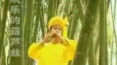 竹林深處 葫蘆絲獨奏