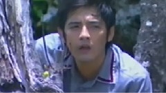 你是我心中的太陽