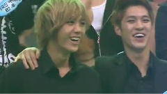 虎鳳蝶 & Shy boy