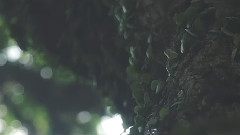 好不容易遇見愛