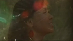 高原紅