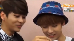 4種SHOW BTOB Cut