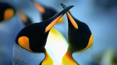 極致之美 地球的顏色系列8