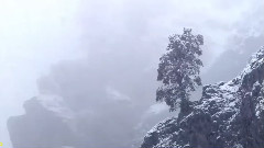 Concerto Pour Deux Voix 天使協奏曲