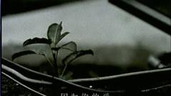 感覺不到你
