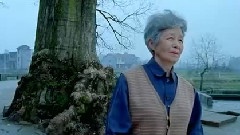 蝶戀花.母親