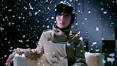 花無雪