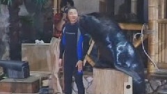 飛越海洋