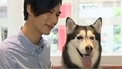 完全娛樂