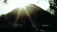 Bosnian Rainbows - Turtle Neck