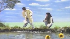 花與蝶