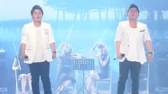 上場前的準備 & 常綠樹 & 感想 & 最后對決