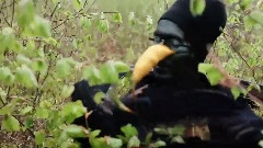 I'm Kingfisher - Willing Night Plants