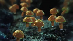 Brothers of End - Beats For You