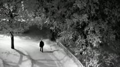 Starflower - You King