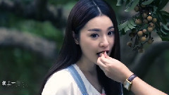 戀上一座城