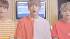 Seventeen Love&Letter 后續專輯采訪