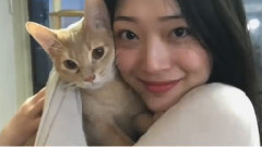 雪莉和她的小貓