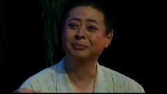 現代豫劇精選-女婿2