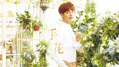 手花 預告版