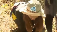 偶吧從椰子樹上滑落 Yuri笑翻