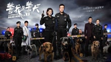 相信你，相信我 電視劇《警花與警犬》主題曲