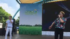 yo游來游去