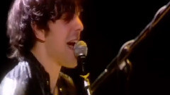 Shy Child - SHY CHILD x STELLA MCCARTNEY