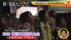 AKB48 - シューイチ 神宮外苑花火大會