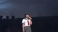 さすらい鷗2004