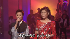 海貓