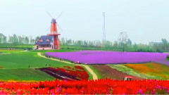 最美的光