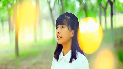 星光