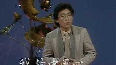 我的中國心