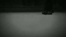 遲愛