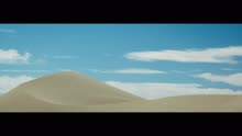 Fall (Video)