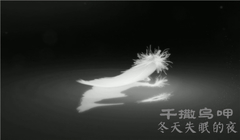 千撒烏呷 - 冬天失眠的夜