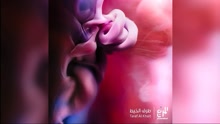 Abaad Shwaii 2 試聽版