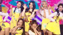 Welcome to momoland + JJan! Koong! Kwang! M CONTDOWN 現場版 16/11/10