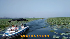 湖光山色 音樂風光