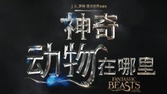 Eddie Redmayne - 電影《神奇動物在哪里》