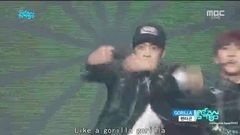 Gorilla