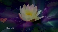 Peacefully