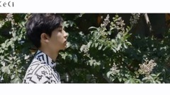 樸燦烈單人版ceci