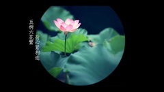 千葉佛蓮