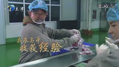 安琥,華語群星,沈凌,姜武 - 星廚集結號