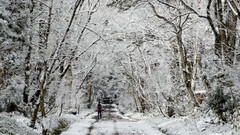 日本戶隱奧社神社雪景