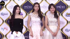 2017 KBS演技大賞紅毯